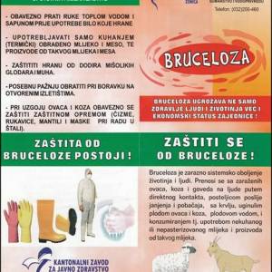 bruceloza_1_original