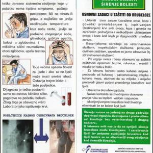 bruceloza_3_original