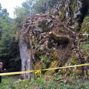 WP_20160718_11_26_58_Pro_original