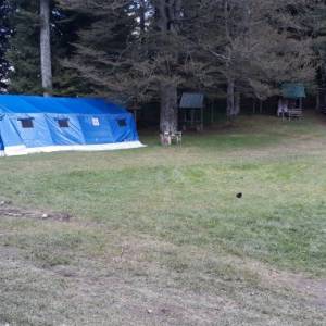 20220923_142912_original