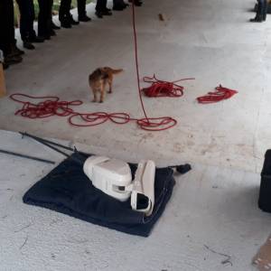 20221119_113116_original