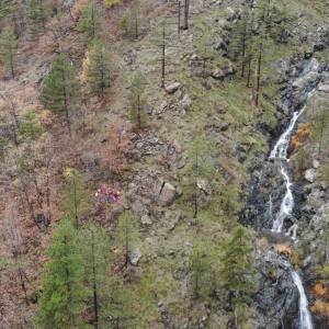 IMG-311308dda882da36601d89c99711e734-V_original