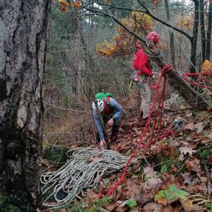 IMG-82e48f84feb8537e64bdd41c6d4328f7-V_original