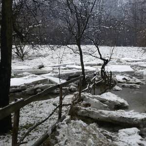 20170114_124747_original