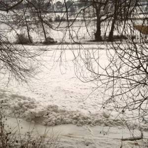 Drivusa_Janjici3_original