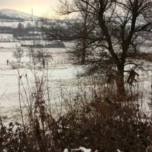 Drivusa_Janjici5_original