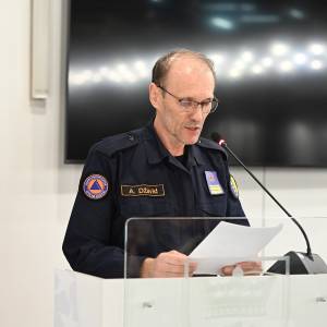 dzavid-alicic_original