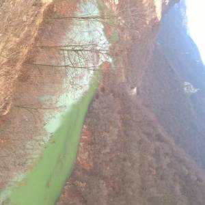 WP_20170220_10_23_18_Pro_original